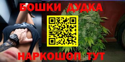 спайс Кингисепп