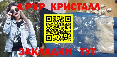спайс Кингисепп