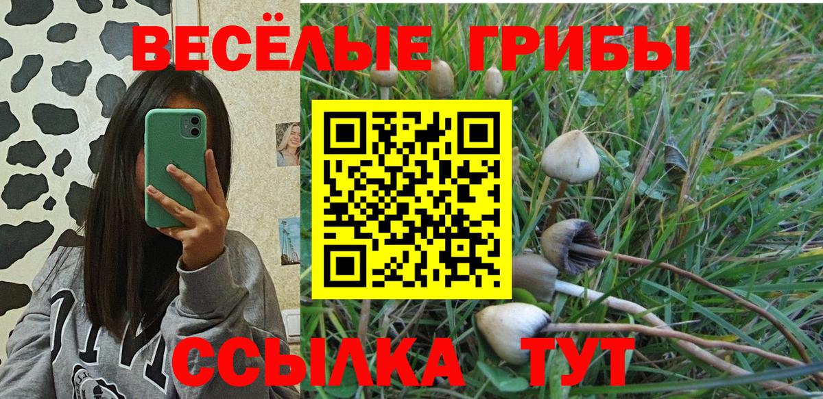 Кашира  Галлюциногенные грибы GOLDEN TEACHER  Псилоцибиновые грибы мухоморы  Вход с VPN 
