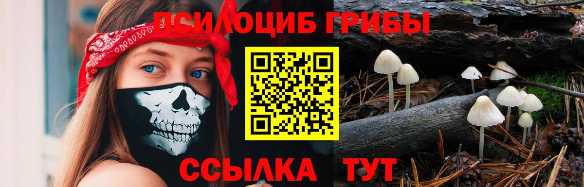 Конопля  Кашира  Магазин наркотиков  Вход с VPN  КОКАИН  Меф МЯУ МЯУ   A-PVP СОЛЬ   ГАШ  ГАШИШ 